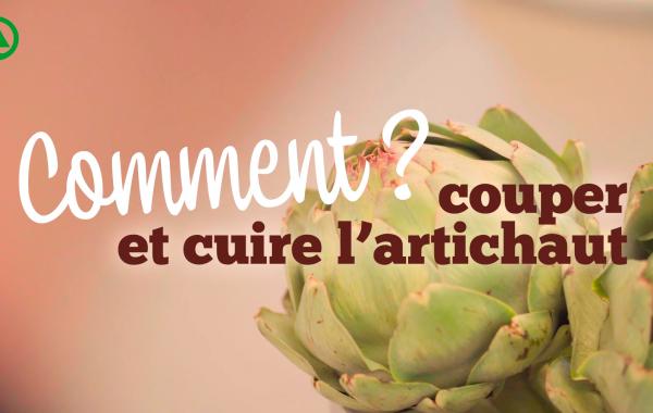 video, koken, cuire, couper, recettes, cuisiner, conseil, artichauts, artichaut, spar.be