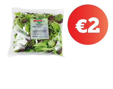 promo, korting, bladsla, spar.be